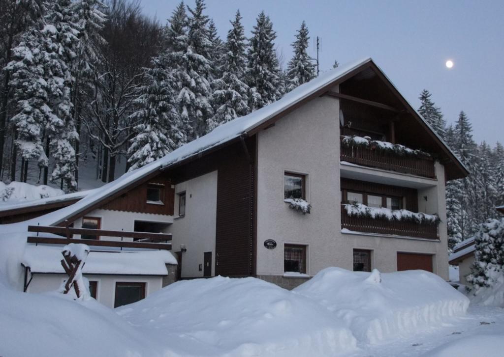 Apartmany Mueller Bedrichov  Exterior photo